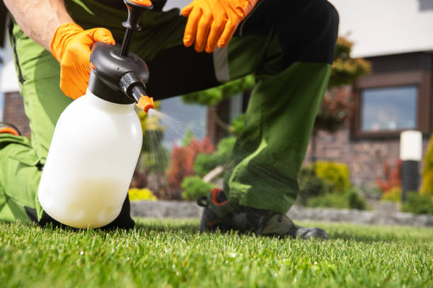 Best Affordable Pest Control Services  in Paris, MO