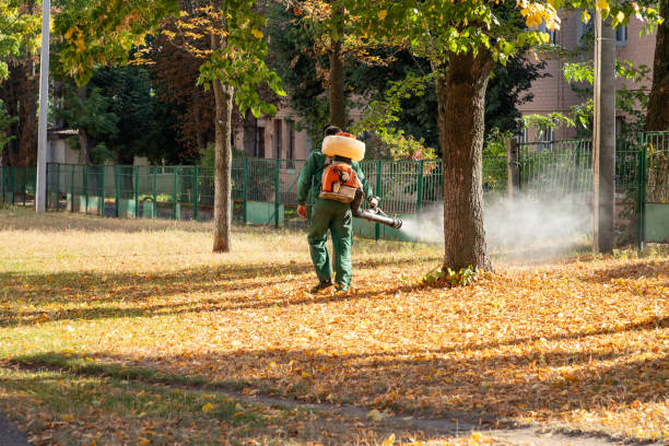 Best Cockroach Control Services  in Paris, MO