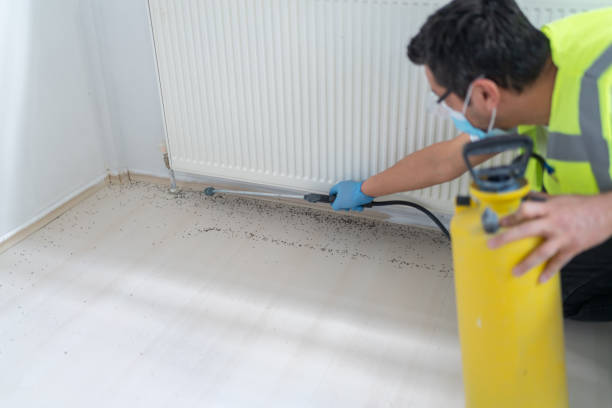 Best Affordable Pest Control Services  in Paris, MO