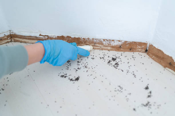 Best Pest Control Near Me  in Paris, MO